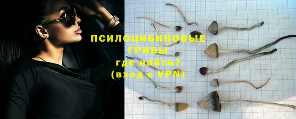 a pvp Бородино