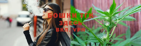 a pvp Бородино