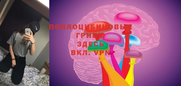 соль ск Бронницы