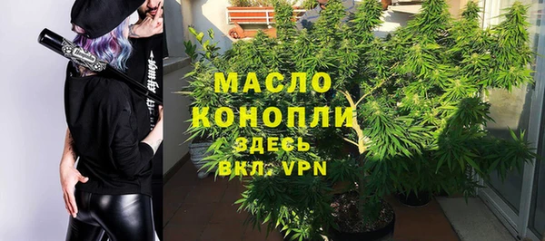 a pvp Бородино