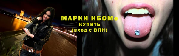 a pvp Бородино