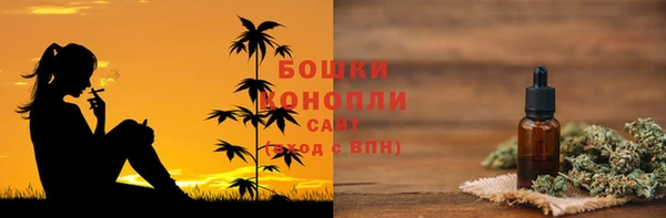 соль ск Бронницы