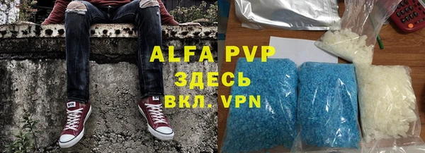 a pvp Бородино