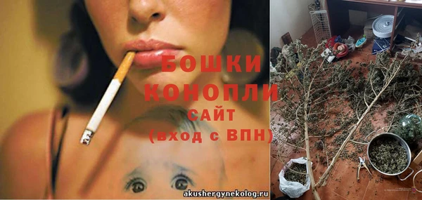 соль ск Бронницы