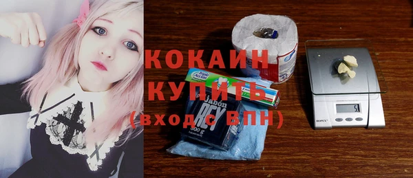 a pvp Бородино