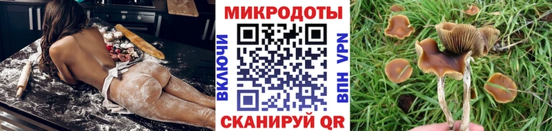 blacksprut как зайти  Наро-Фоминск  Псилоцибиновые грибы мицелий  нарко площадка формула  купить  